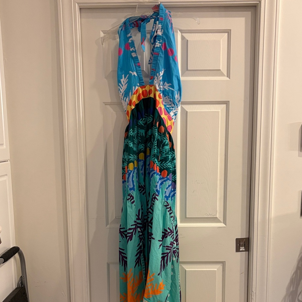 Oliphant Vibrant Backless Maxi Dress